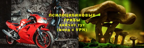 таблы Алзамай