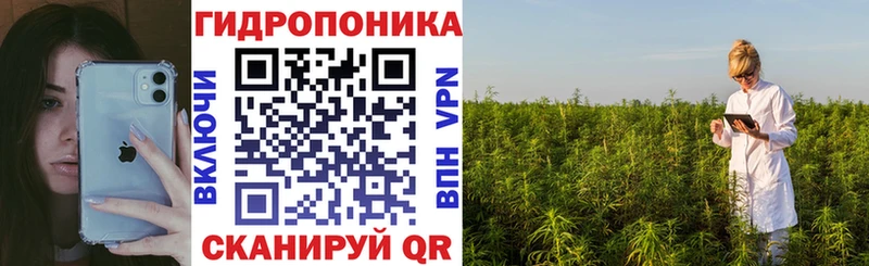 мега ссылка  Заволжск  Конопля VHQ  где купить наркотик 